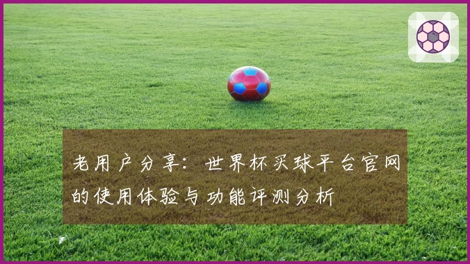 老用户分享：世界杯买球平台官网的使用体验与功能评测分析