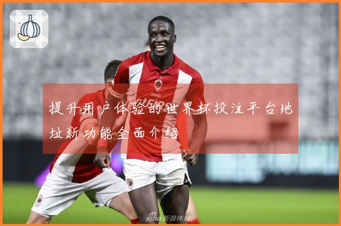 提升用户体验的世界杯投注平台地址新功能全面介绍