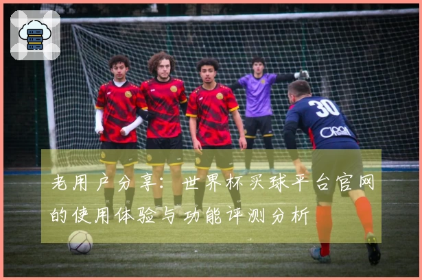 老用户分享：世界杯买球平台官网的使用体验与功能评测分析